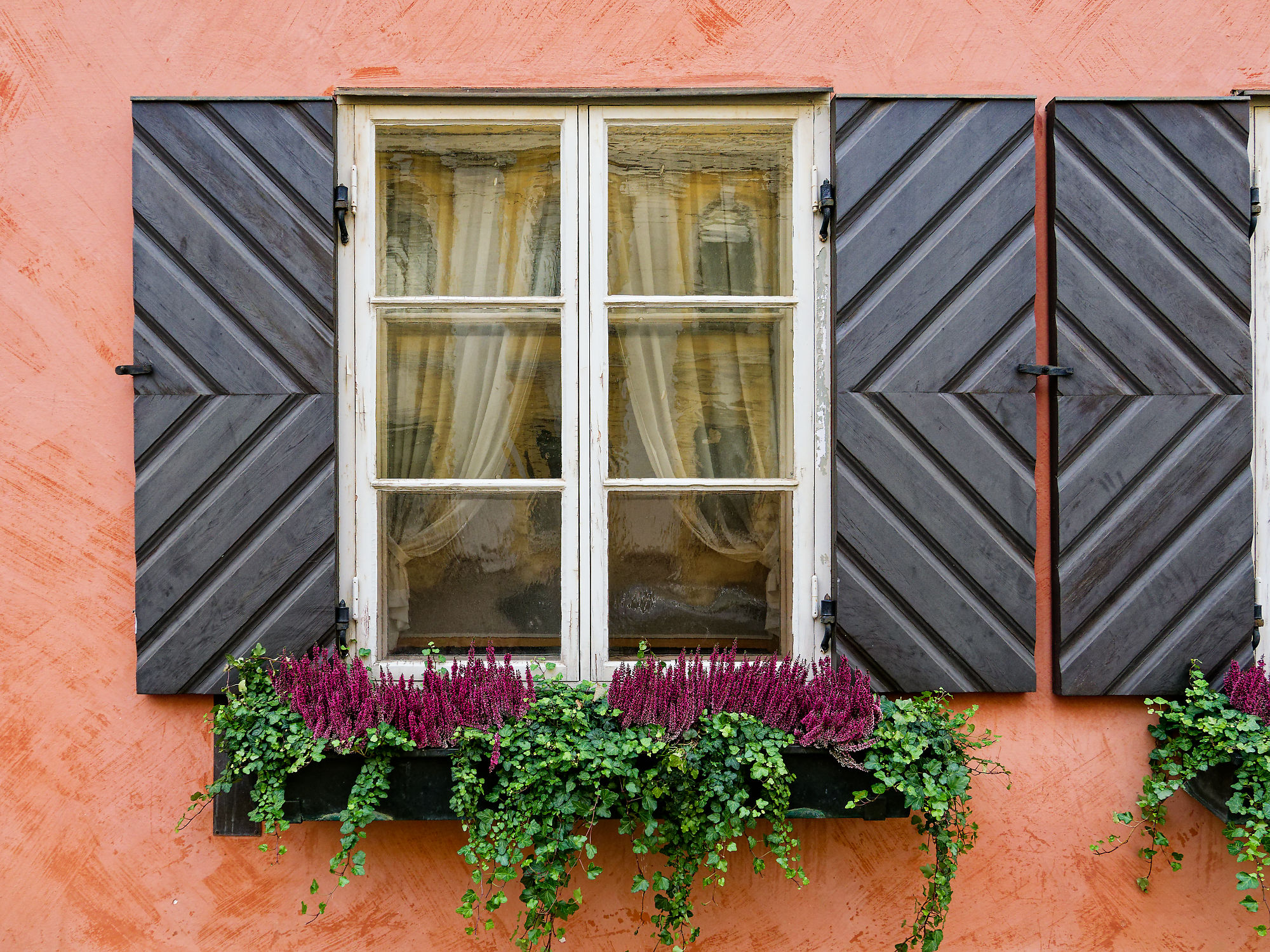Fenster in Helsinki mit Blumenkasten, Holzläden und rosa Fassade. Architektur Detail.