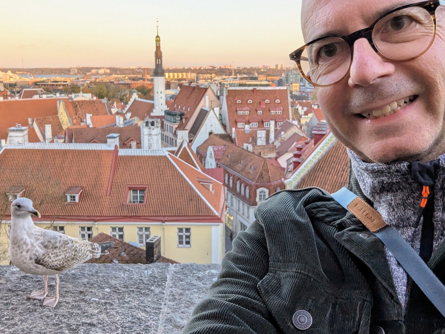 Selfie in Tallinn, Estland, mit Möwe und Blick auf die Altstadt. Urlaub in Europa.