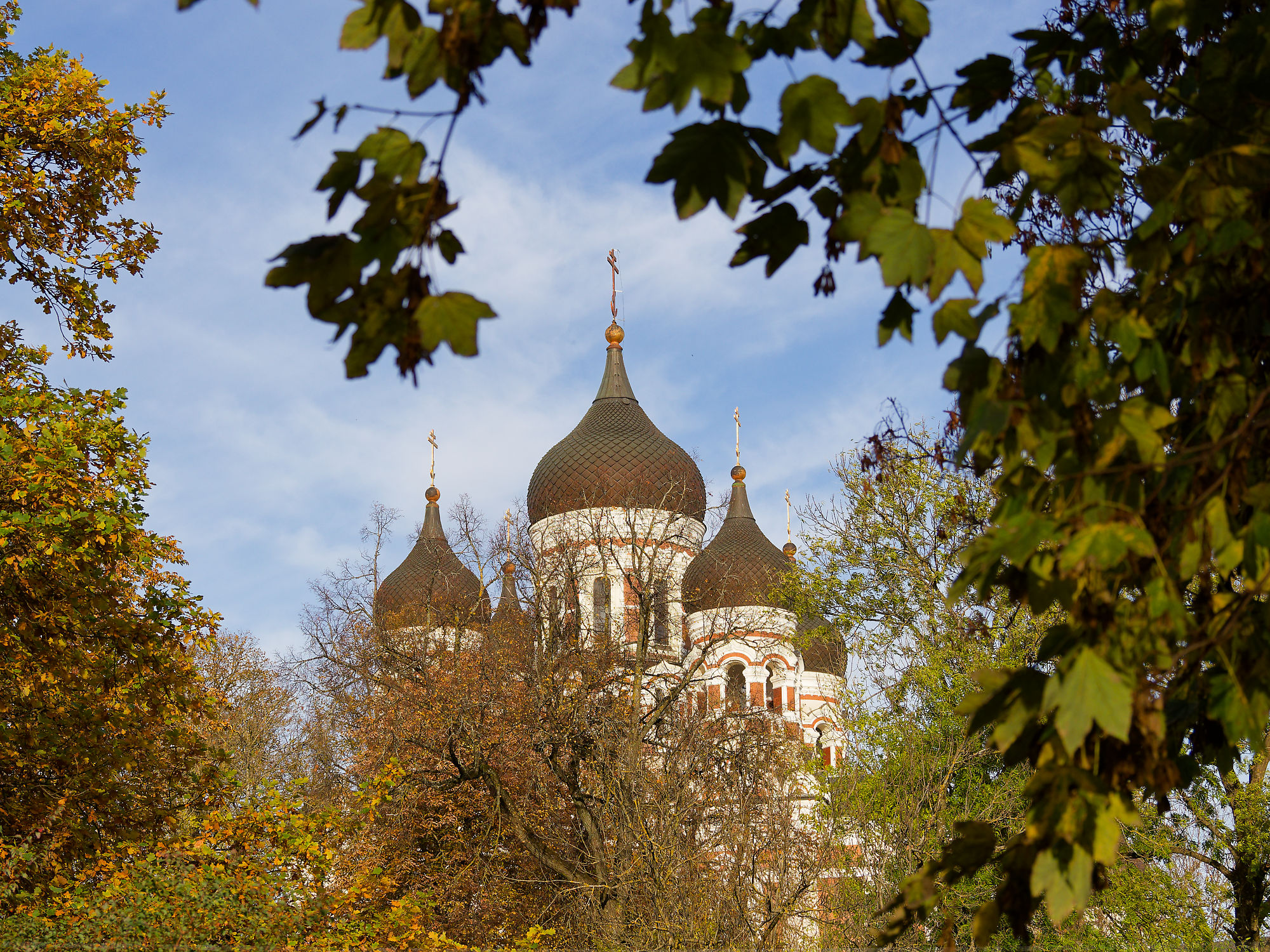 Alexander-Newski-Kathedrale in Tallinn, Estland. Herbstliche Blätter im Vordergrund. Architektur und Reiseziel.