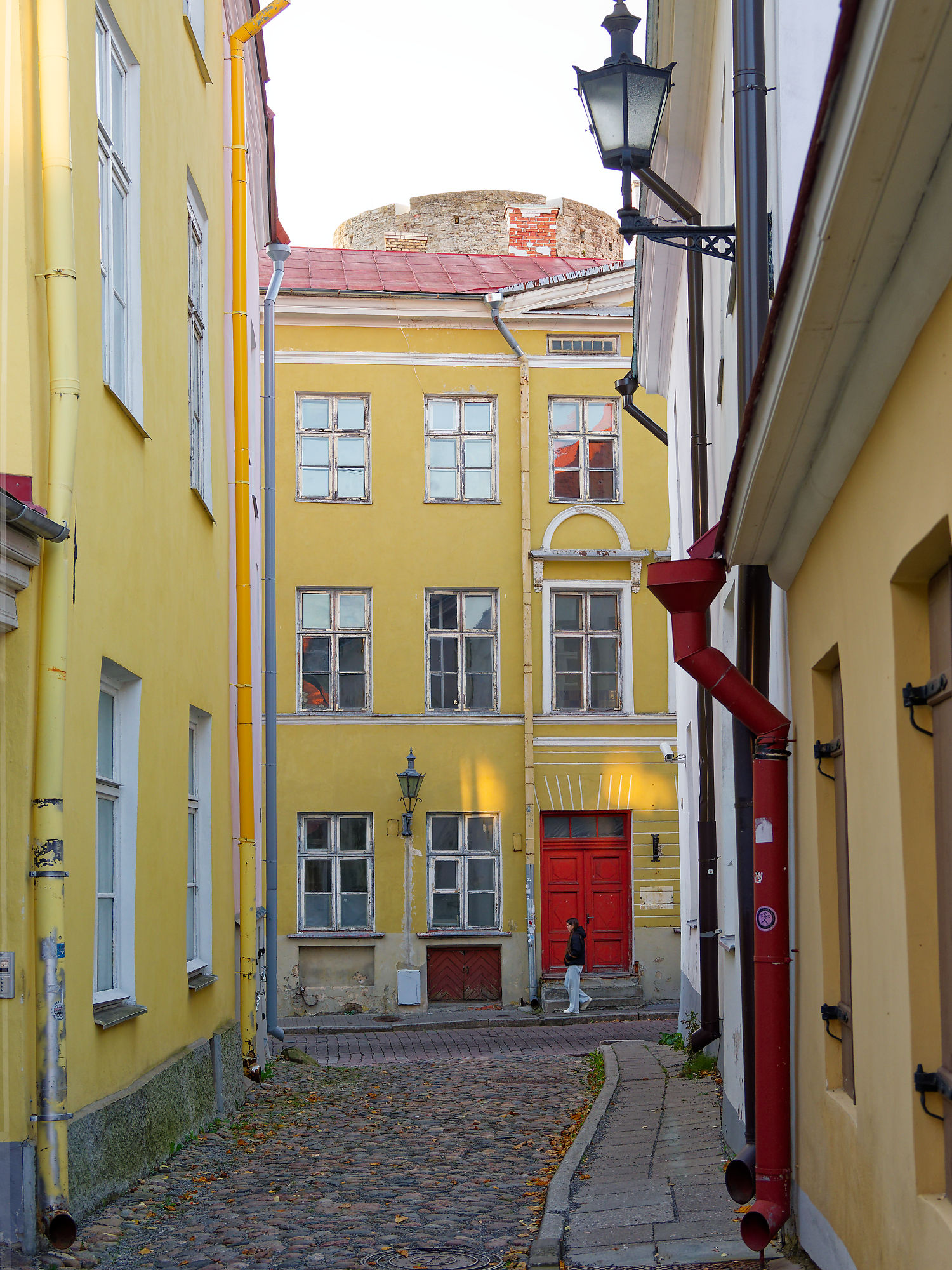 Gasse in Tallinn, Estland, mit gelben Häusern, roter Tür und Kopfsteinpflaster. Mittelalterlicher Turm im Hintergrund.