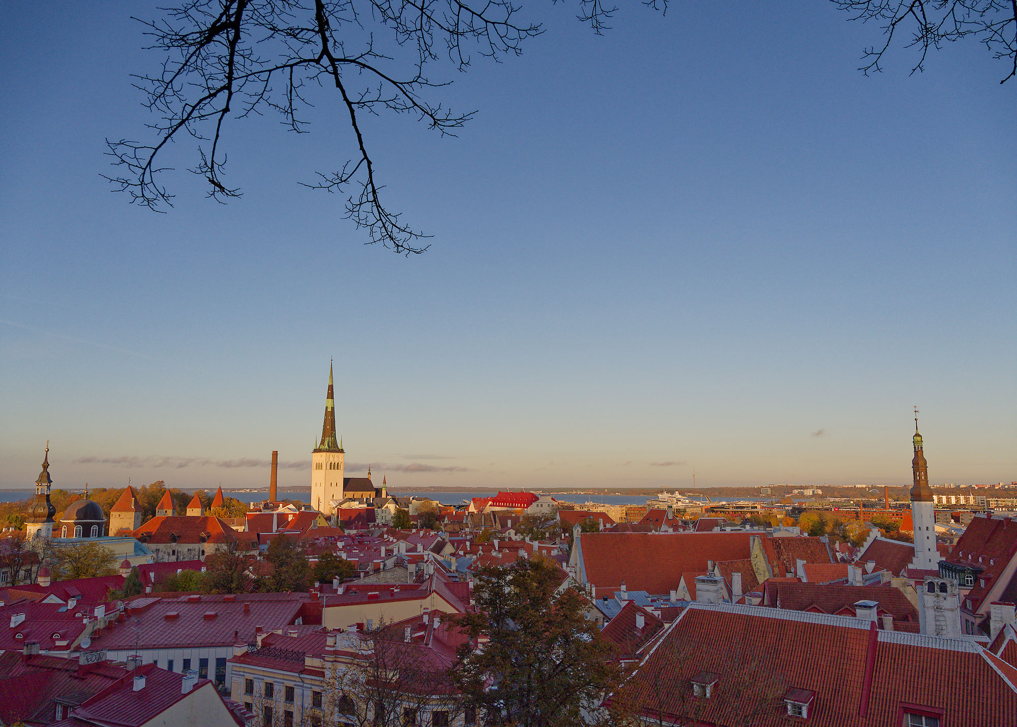Tallinn Altstadt Panorama: Rote Dächer, Kirchtürme und mittelalterliche Architektur. Estland Reiseziel.