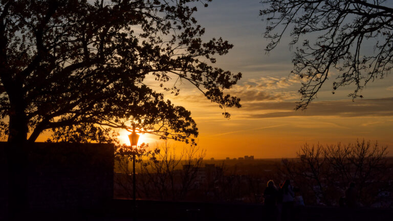 Sonnenuntergang in Tallinn: Silhouette von Bäumen und Stadtbild im Abendrot. Romantische Stimmung in Estland.