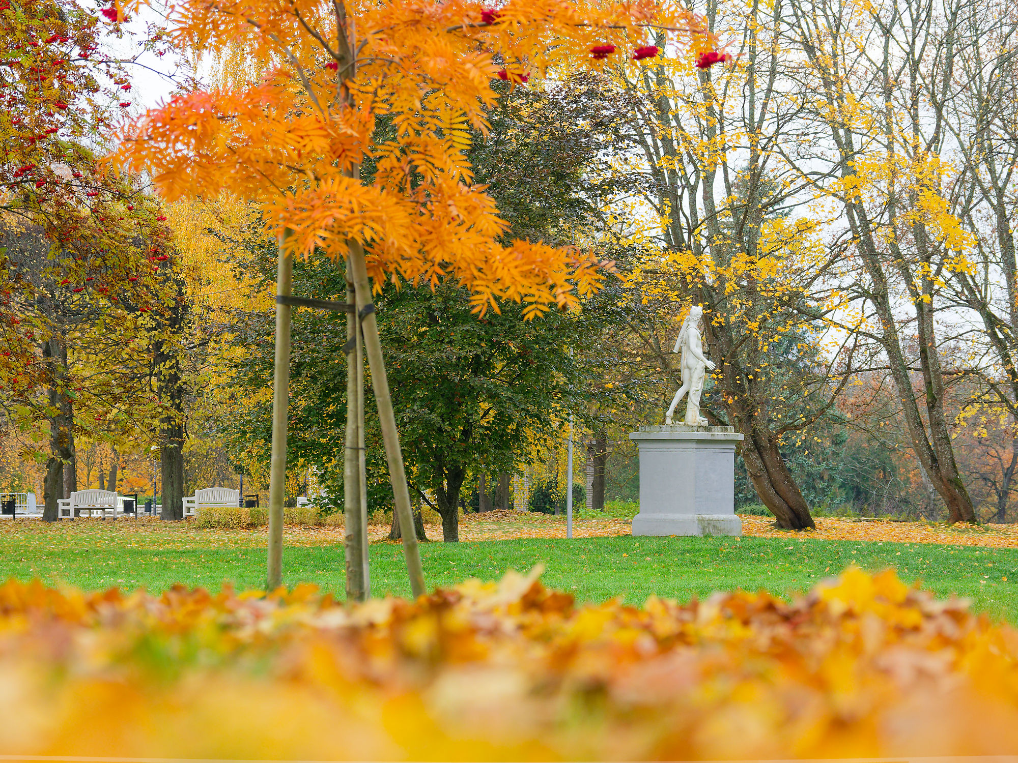 Herbst in Tallinn: Parklandschaft mit Statue, bunten Blättern und Bäumen. Goldener Herbst in Estland.