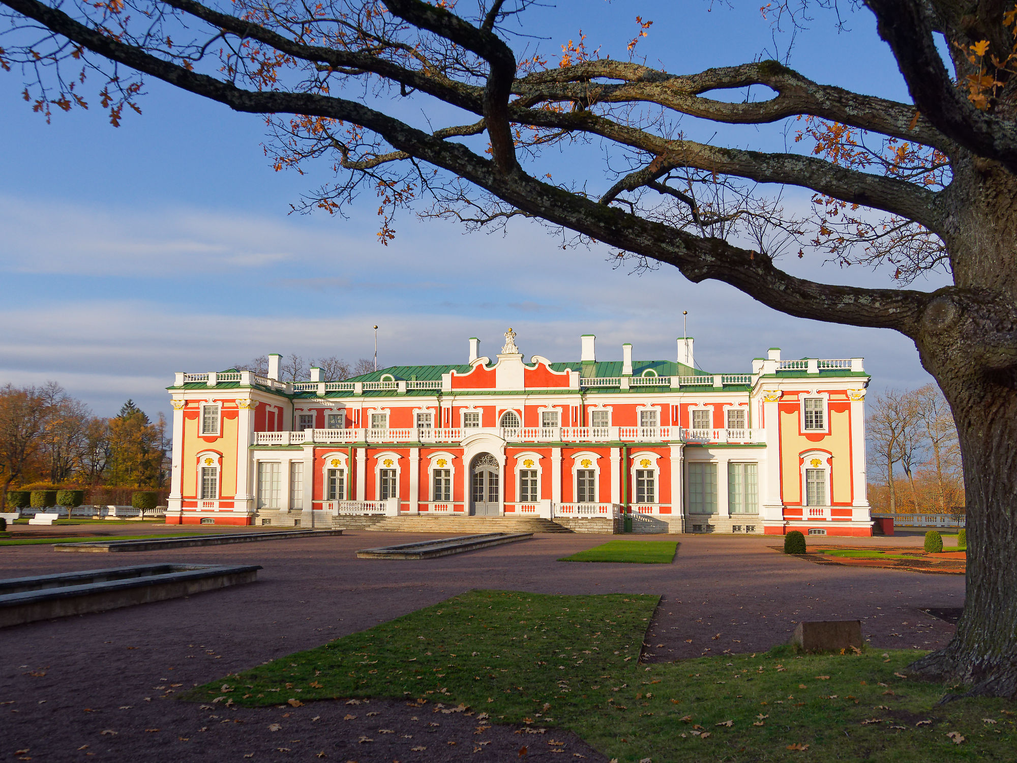 Barockschloss Kadriorg, Tallinn. Architektur, Parkanlage, Baum im Vordergrund. Estland Sehenswürdigkeit.