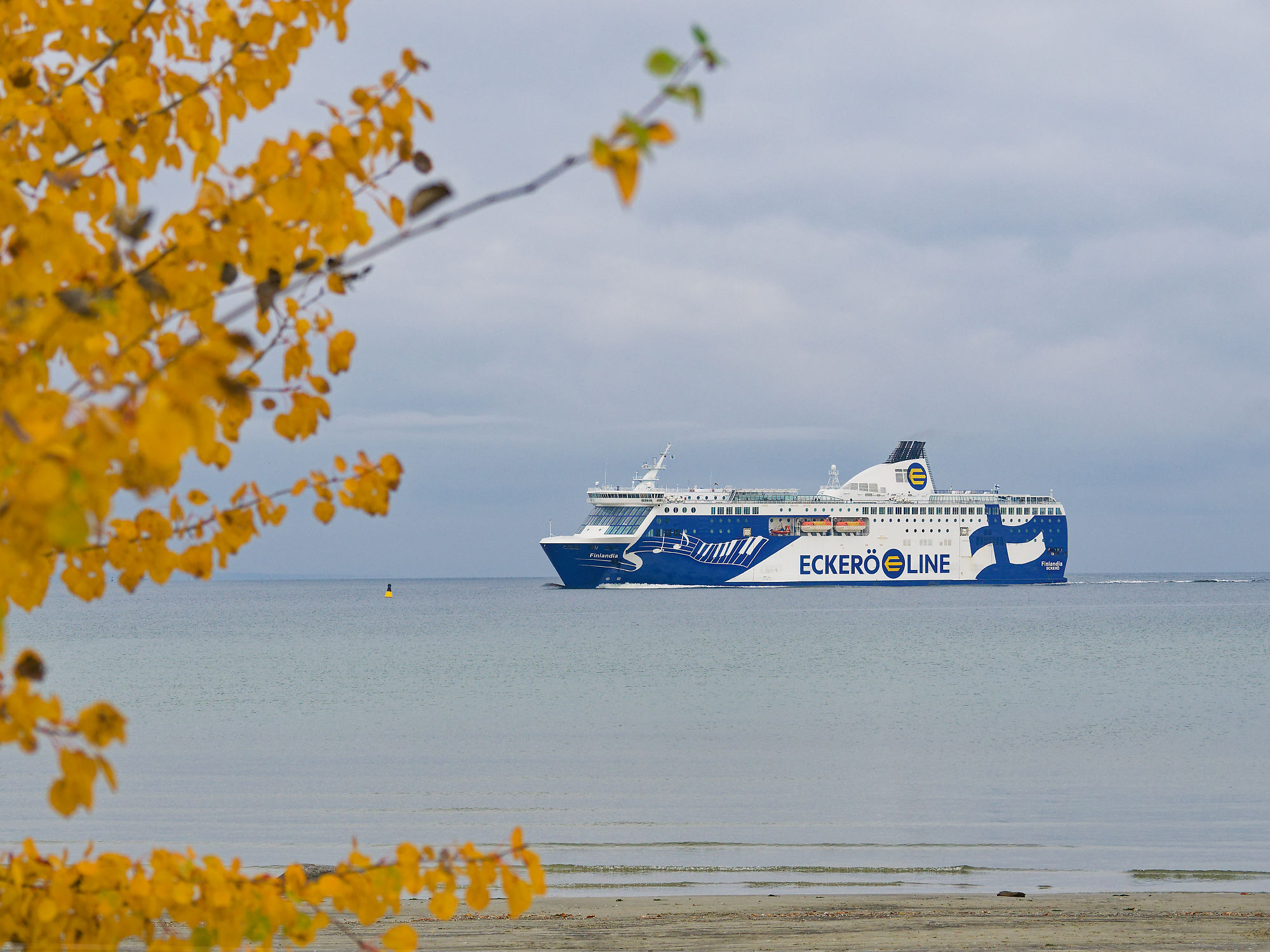 Eckerö Line Fähre in Tallinn, Estland. Herbstliche Küstenlandschaft mit gelben Blättern.