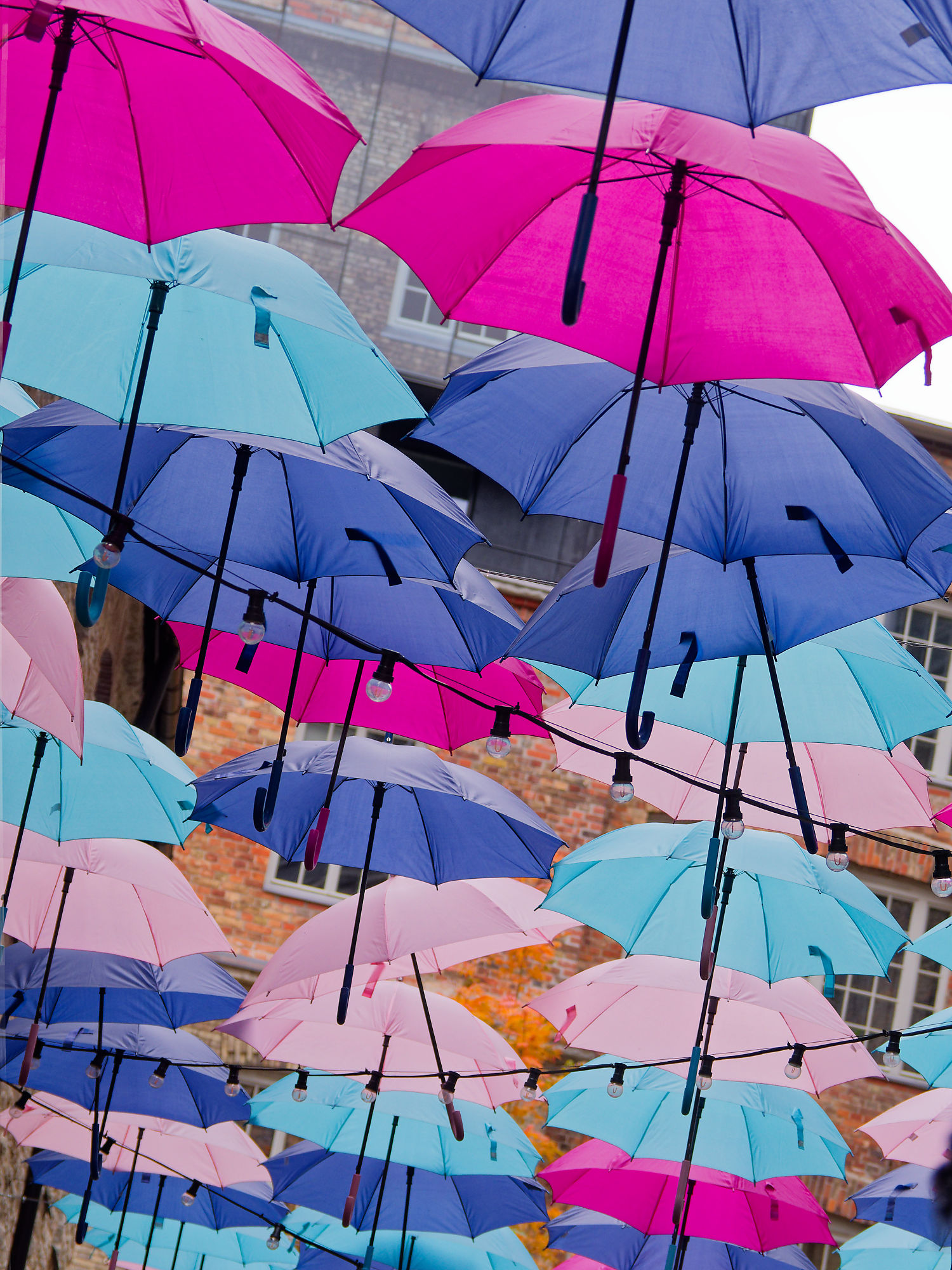 Bunte Regenschirme in Tallinn, Estland. Dekoration mit pinken, blauen und lila Schirmen. Stadtbild.