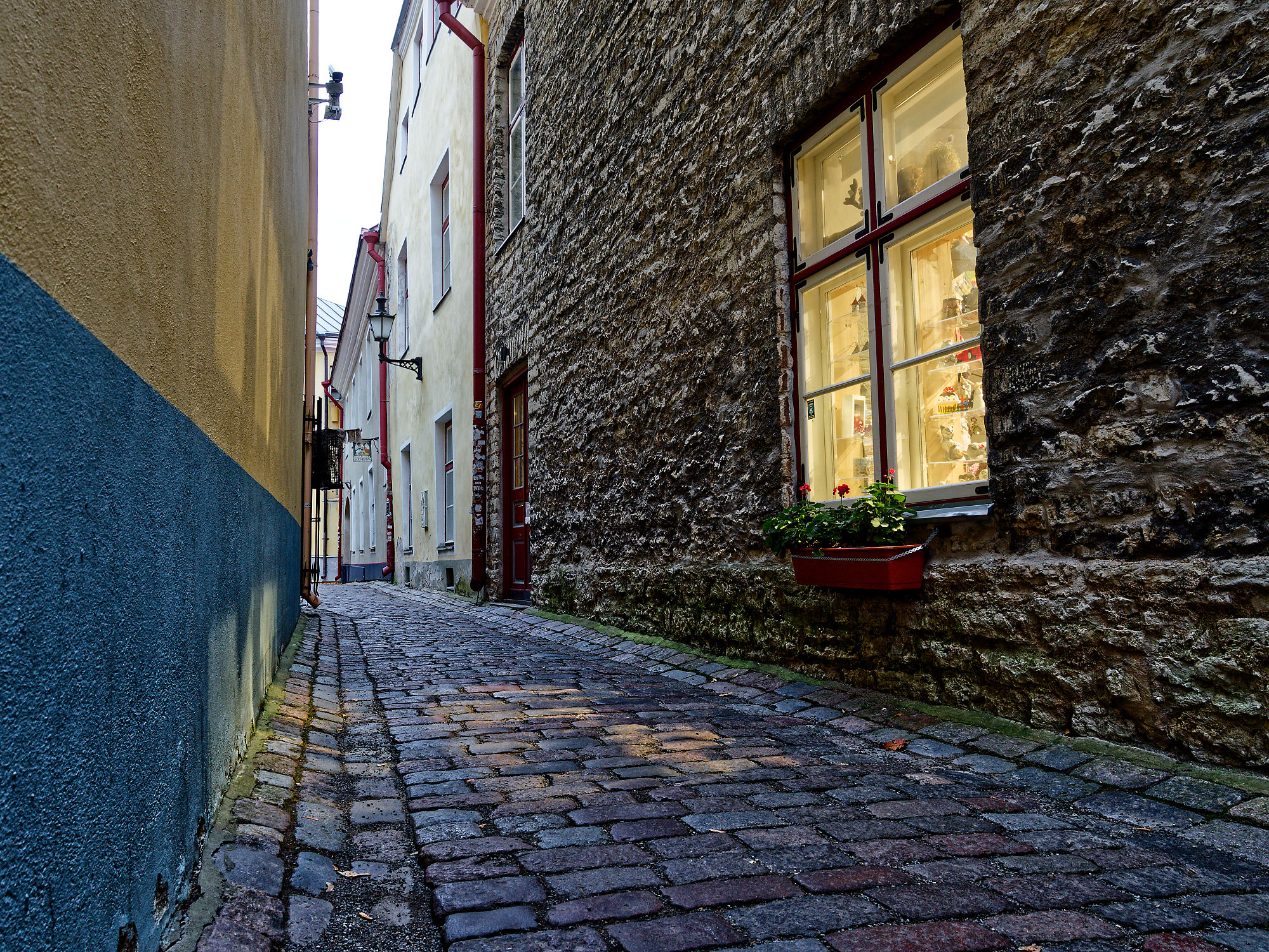 Gasse in Tallinn, Estland. Kopfsteinpflasterweg zwischen alten Gebäuden mit Fenster. Mittelalterliche Architektur.