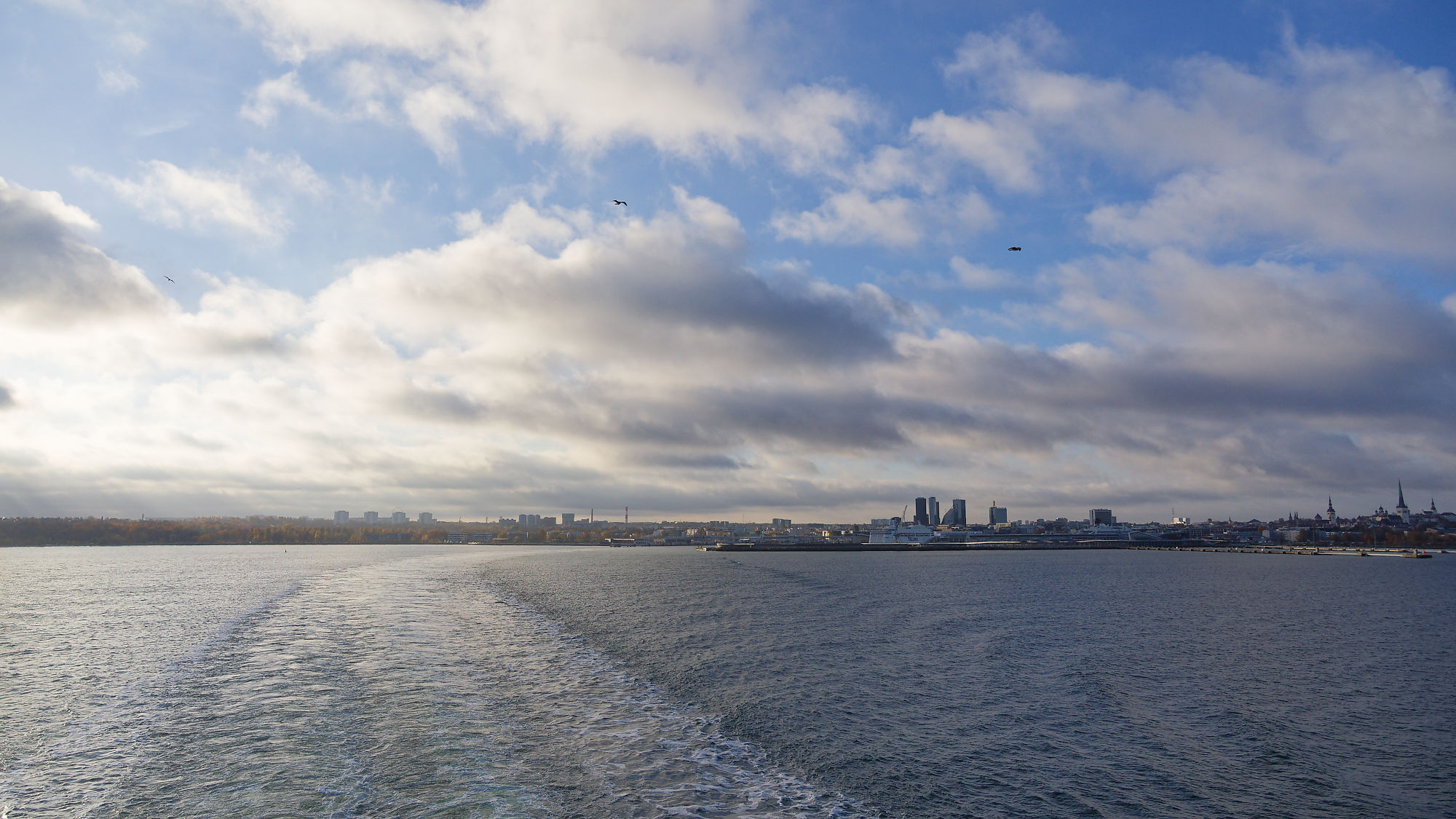 Blick auf Tallinn von der Ostsee. Wolkenhimmel, Wellen und Möwen. Tallinn Skyline.