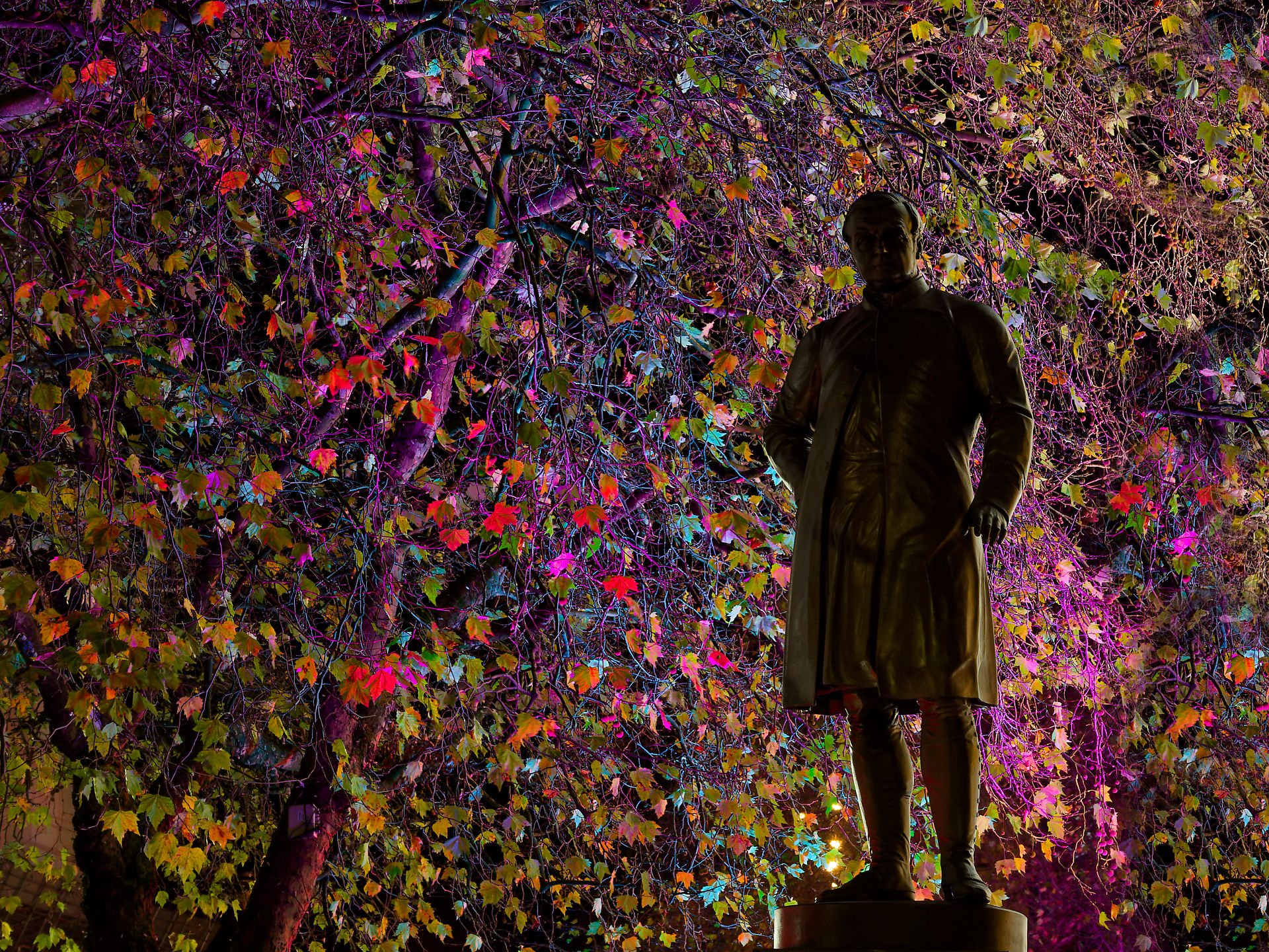 Manchester Manchester Denkmal: Statue vor Baum mit bunten Blättern, abendliche Beleuchtung. Manchester 2025.