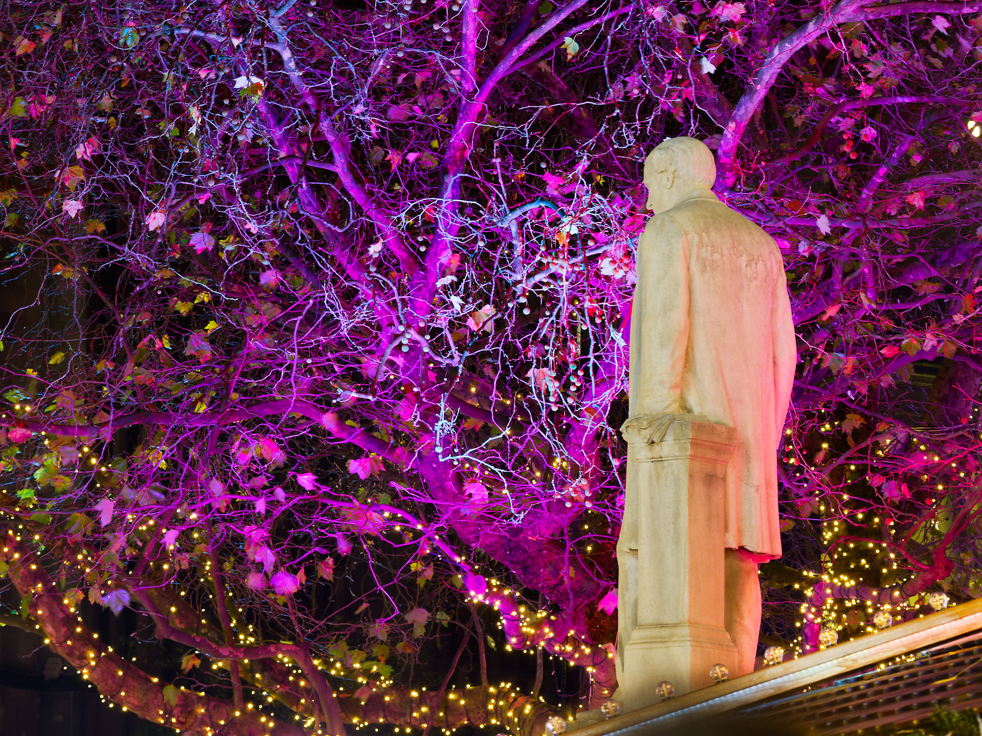 Manchester Manchester Denkmal: Statue vor Baum mit bunten Blättern, abendliche Beleuchtung. Manchester 2025.