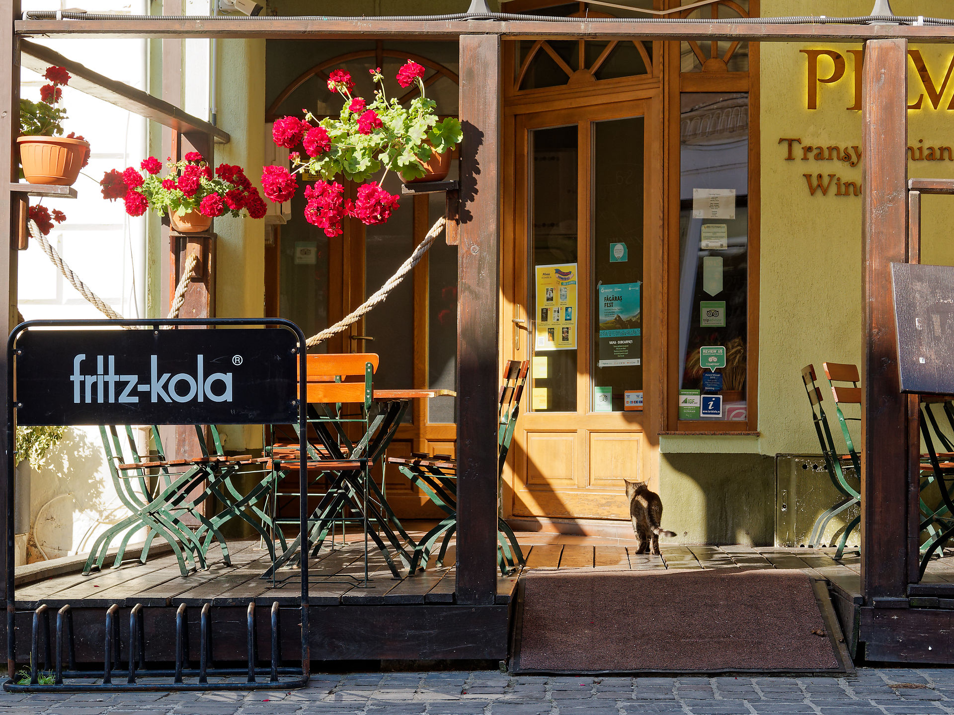 Brasov, Rumänien: Restaurant-Terrasse mit Fritz-Kola-Werbung, Blumen und Katze. Gemütliches Ambiente.