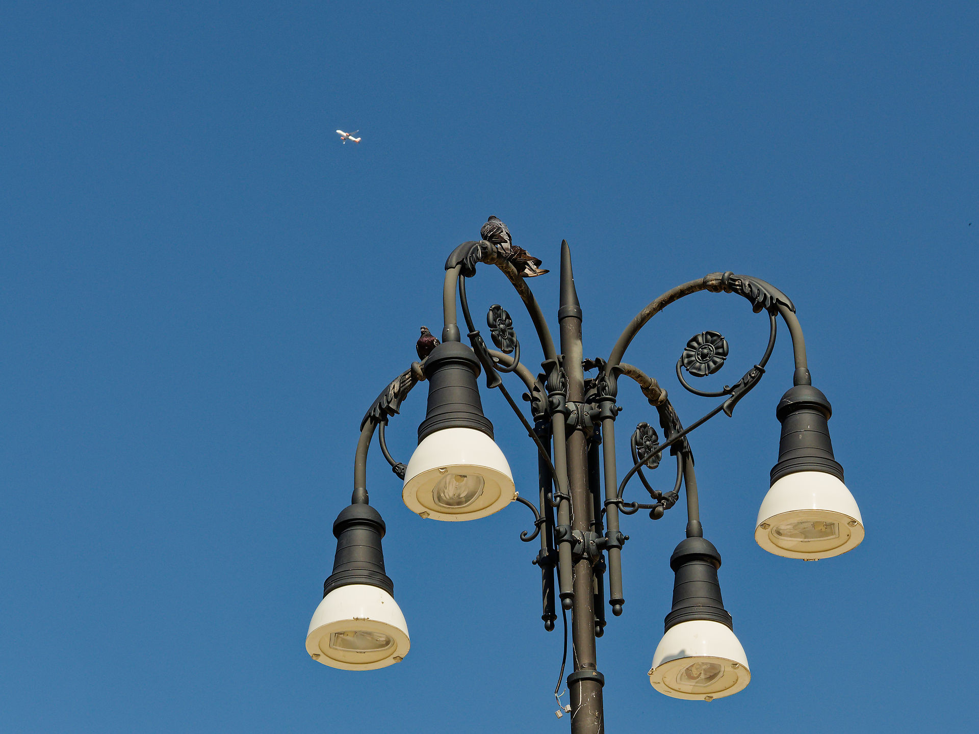 Historische Straßenlaterne in Brasov, Rumänien, mit Tauben und Flugzeug vor blauem Himmel.