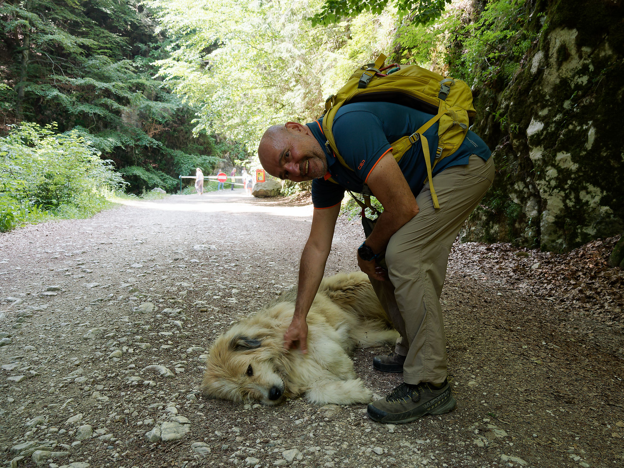 Wanderer streichelt Hund im Piatra Craiului Gebirge, Rumänien. Natur, Wandern, Tierliebe.