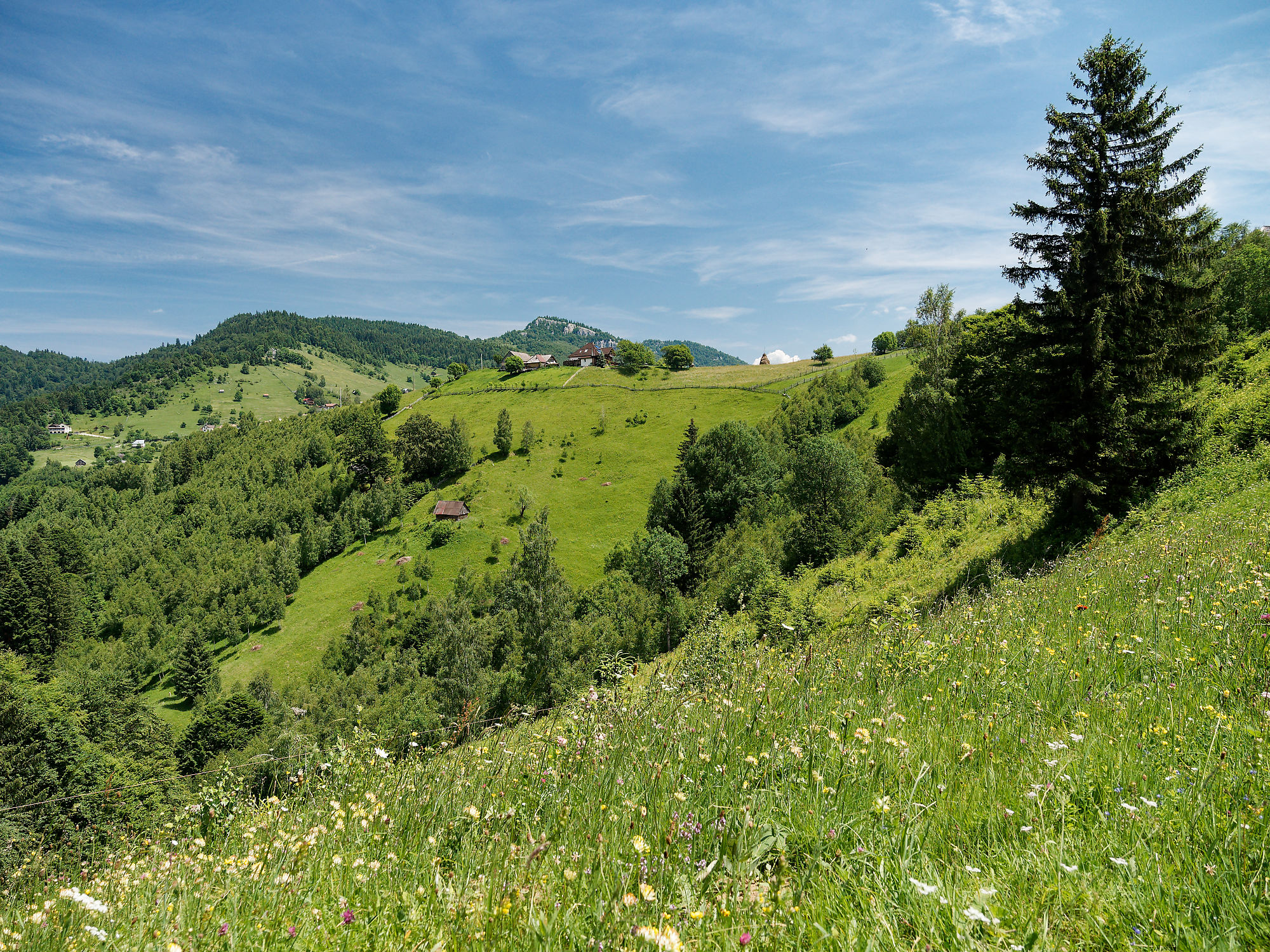 Grüne Landschaft in Piatra Craiului, Rumänien. Hügel, Bäume und blauer Himmel. Natur pur!