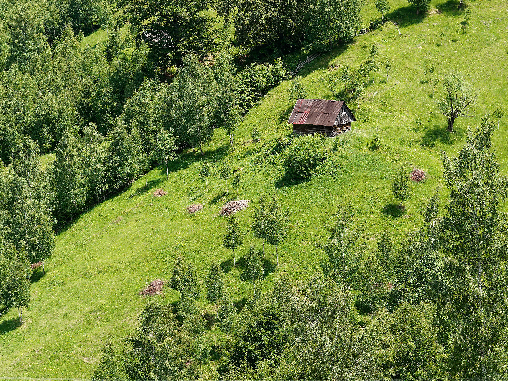 Hütte auf grüner Wiese in Piatra Craiului, Rumänien. Wald und Hügel im Hintergrund. Naturlandschaft.
