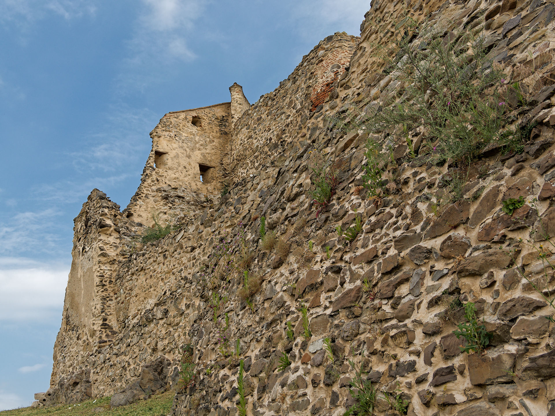Burg Rupea, Rumänien. Detailansicht der steinernen Burgmauer mit Vegetation. Historische Architektur.