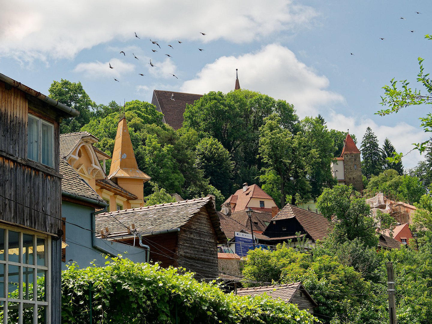 Sighisoara, Rumänien: Blick auf mittelalterliche Häuser, Turm und Kirche auf einem bewaldeten Hügel. Vögel im Himmel.