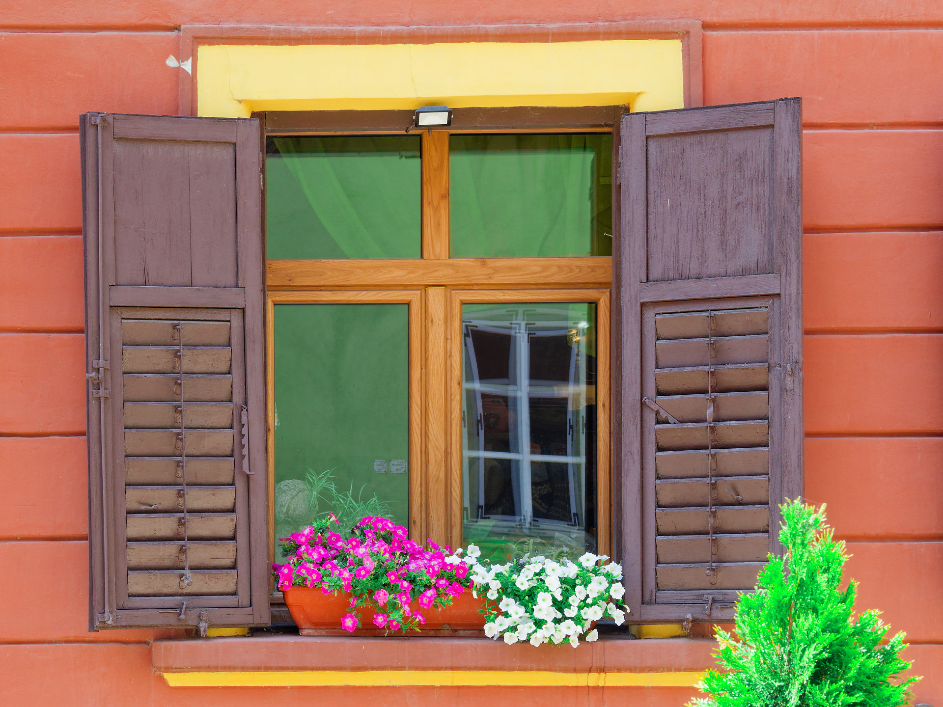 Fenster mit Blumenkasten in Sighisoara, Rumänien. Holzfensterläden und farbenfrohe Blumen. Architektur in Siebenbürgen.