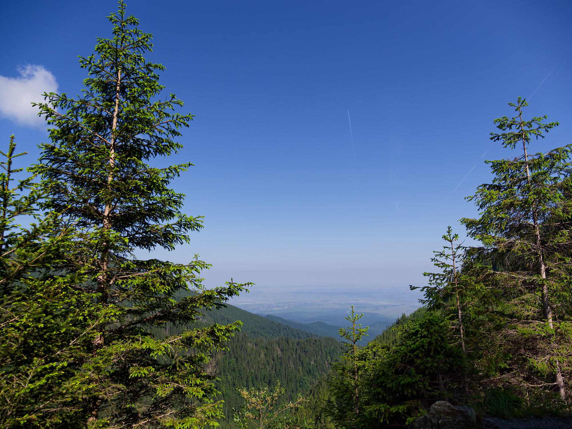 Făgăraș-Gebirge in den rumänischen Karpaten. Naturlandschaft mit grasbewachsenen Hängen. Transfăgărășan, die Transfogarascher Hochstraße