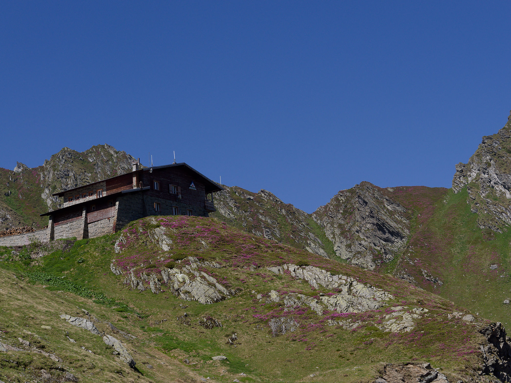 Făgăraș-Gebirge in den rumänischen Karpaten. Naturlandschaft mit grasbewachsenen Hängen. Transfăgărășan, die Transfogarascher Hochstraße