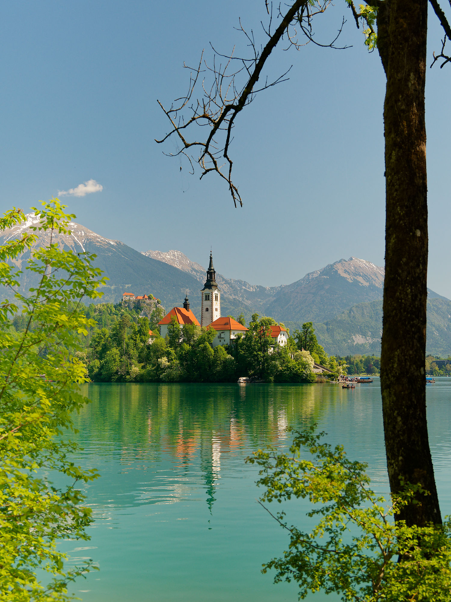 Bleder See, Slowenien: Kirche auf Insel mit Bergen im Hintergrund. Türkisfarbenes Wasser.