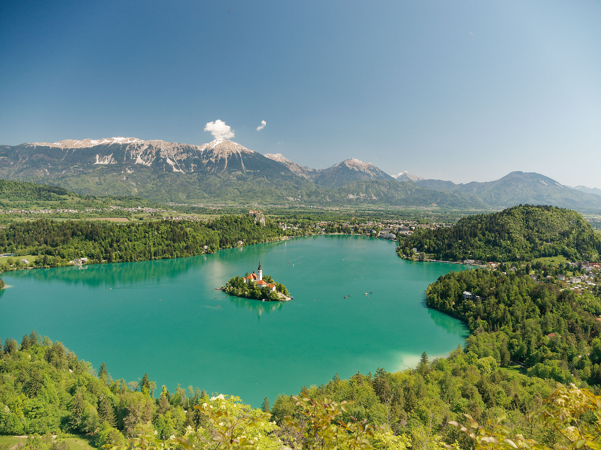 Bled See, Slowenien. Insel mit Kirche, Alpen im Hintergrund. Natur und Reise.