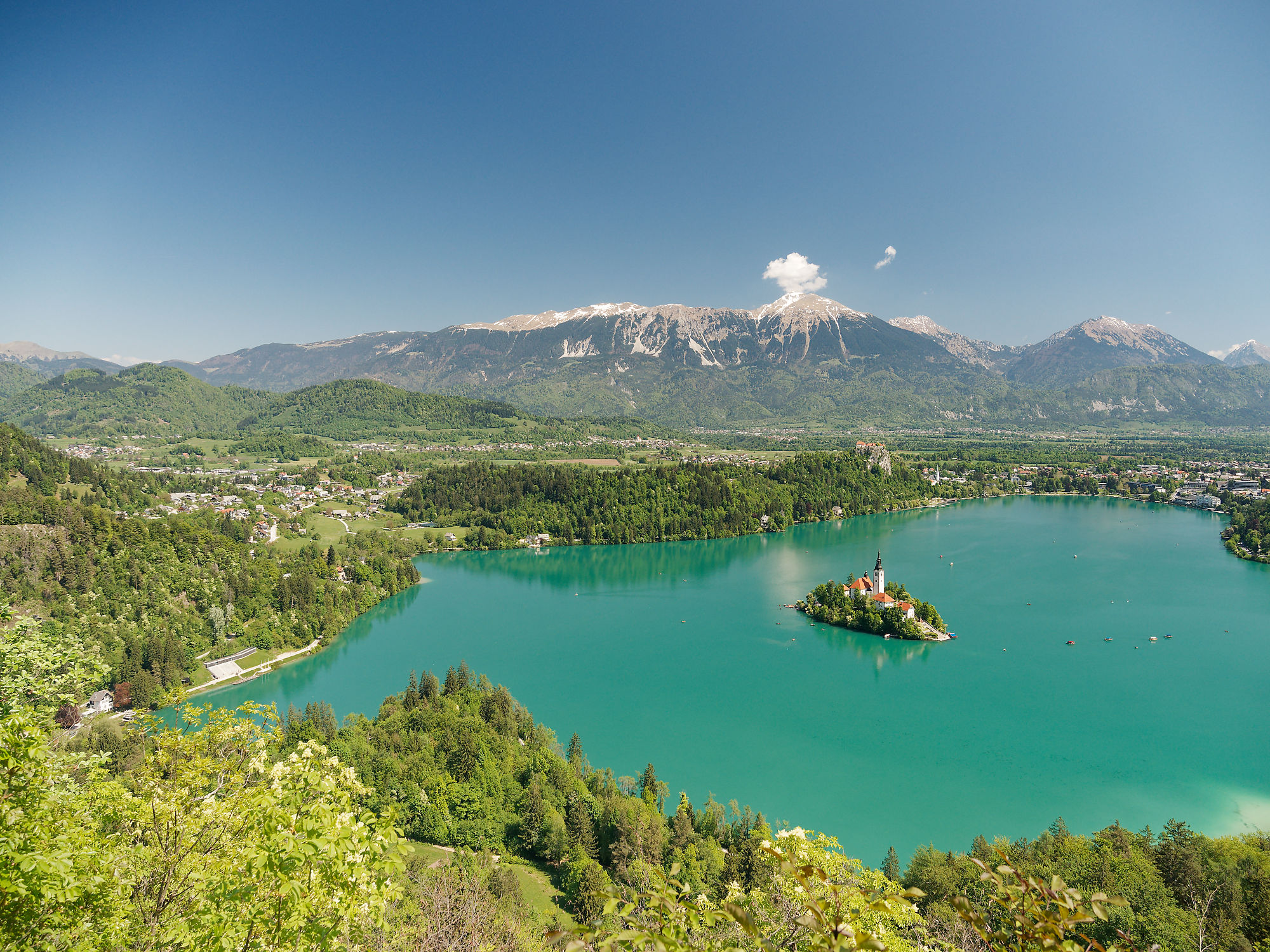 Bled See, Slowenien: Insel mit Kirche, türkises Wasser, Alpenpanorama. Reiseziel.