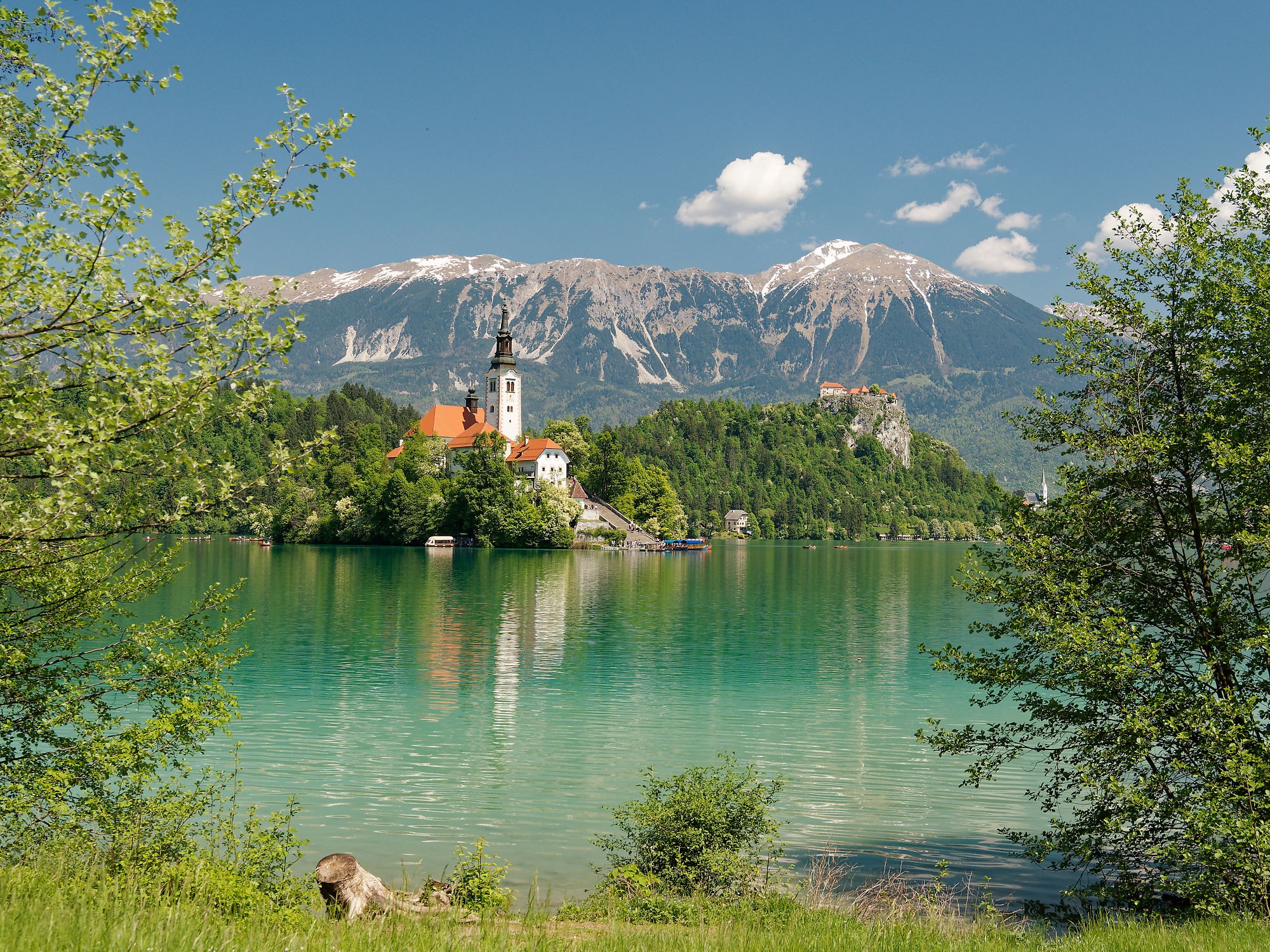Bled See, Slowenien. Kirche auf Insel, Bergpanorama. Urlaubsziel, Reise.