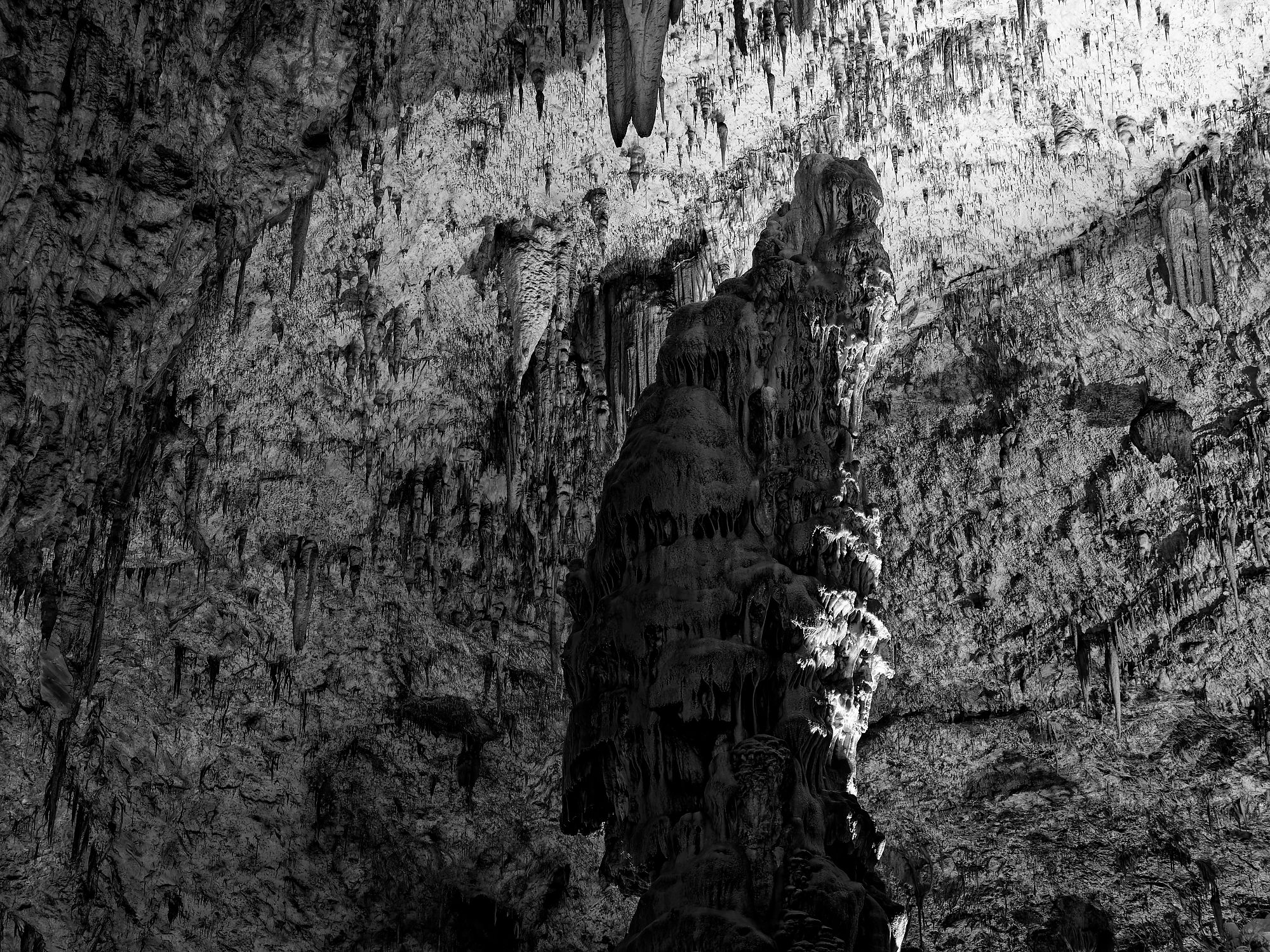 Schwarz-Weiß-Foto der Höhlen von Postojna, Slowenien. Stalagmiten und Stalaktiten.