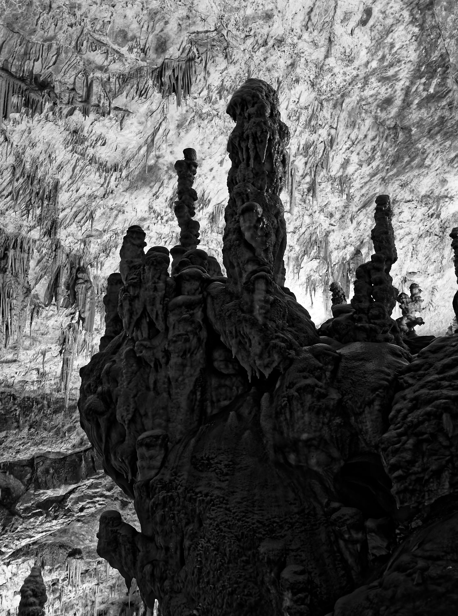 Schwarz-Weiß-Foto der Höhlen von Postojna, Slowenien. Stalagmiten und Stalaktiten.
