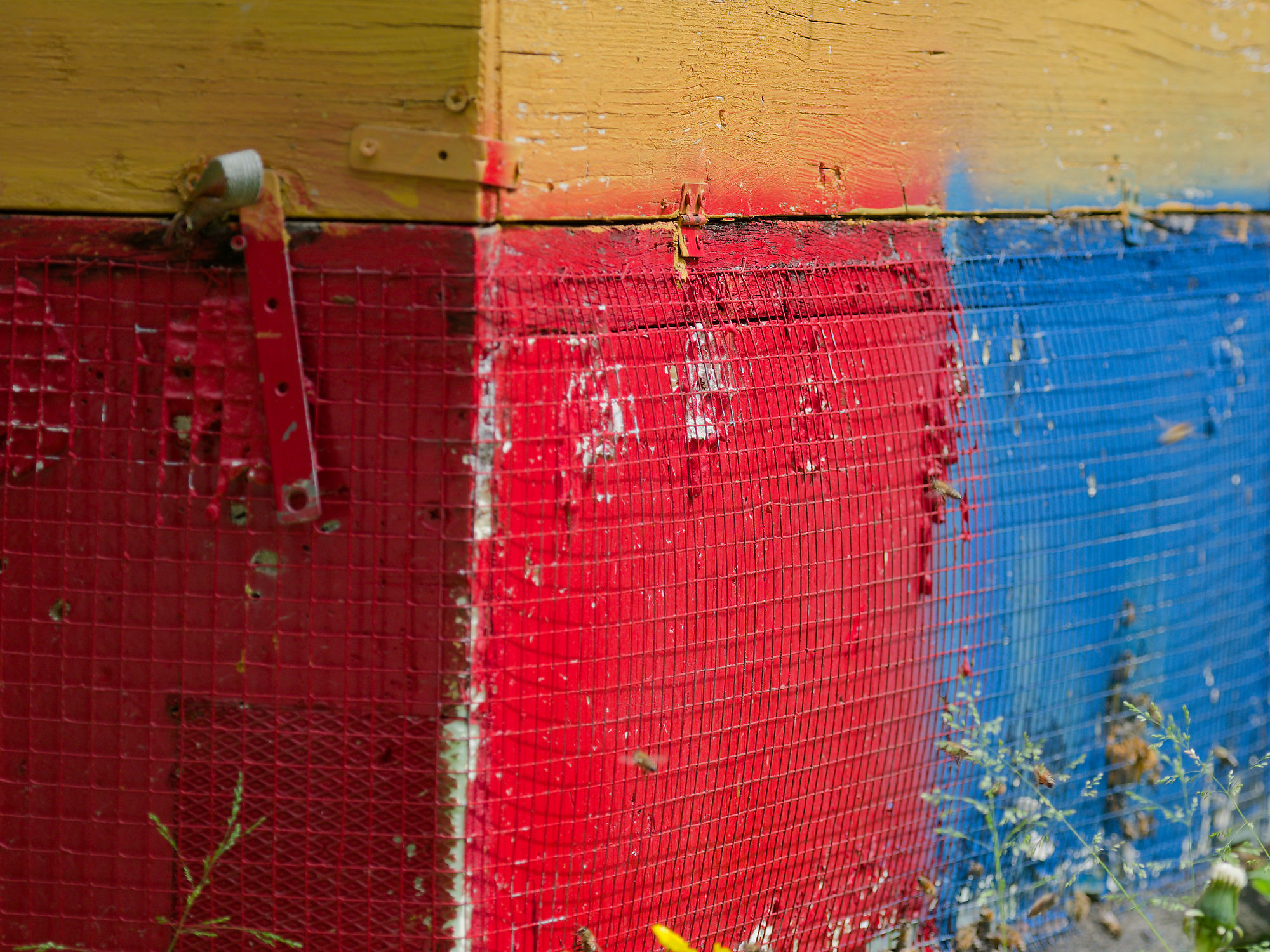 Bienenhaus in Slowenien. Bunte Holzstruktur in Gelb, Rot und Blau mit Drahtgeflecht. Imkerei Detail.