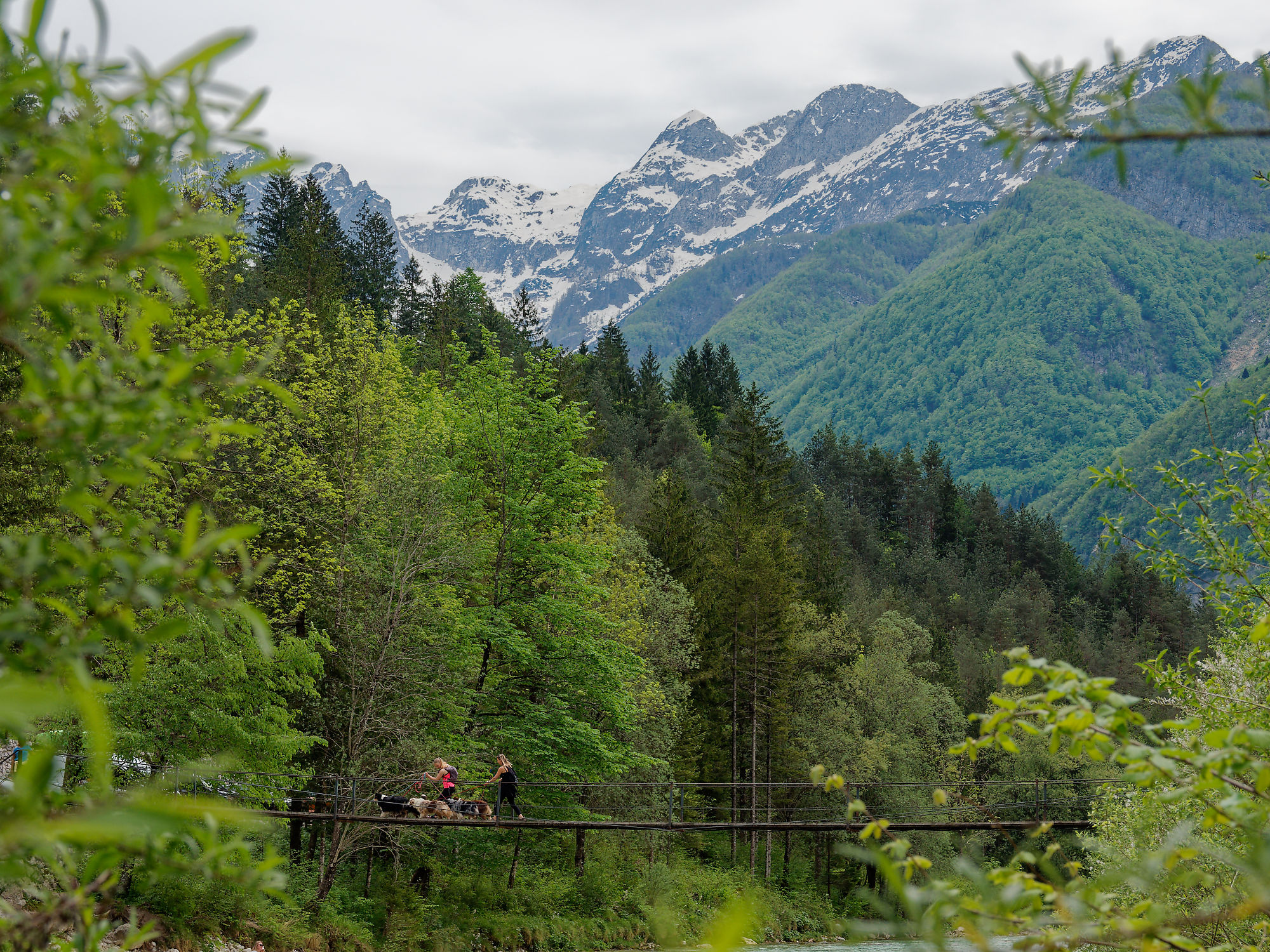 Soca Tal, Slowenien: Wanderer auf Hängebrücke. Berge, Wald, Natur.
