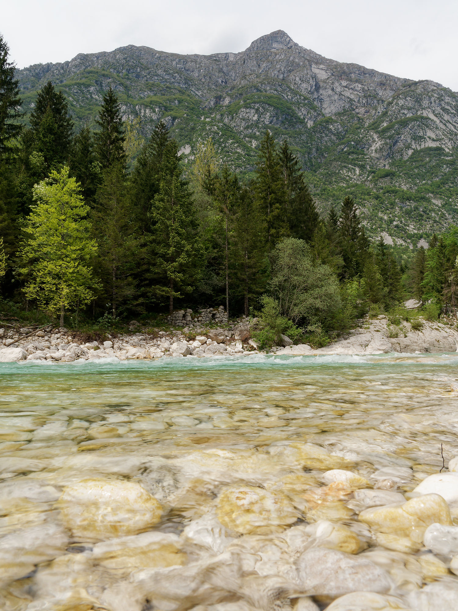 Soca Fluss, Slowenien. Türkisblaues Wasser, Felsen, Wald und Berglandschaft. Natur pur!