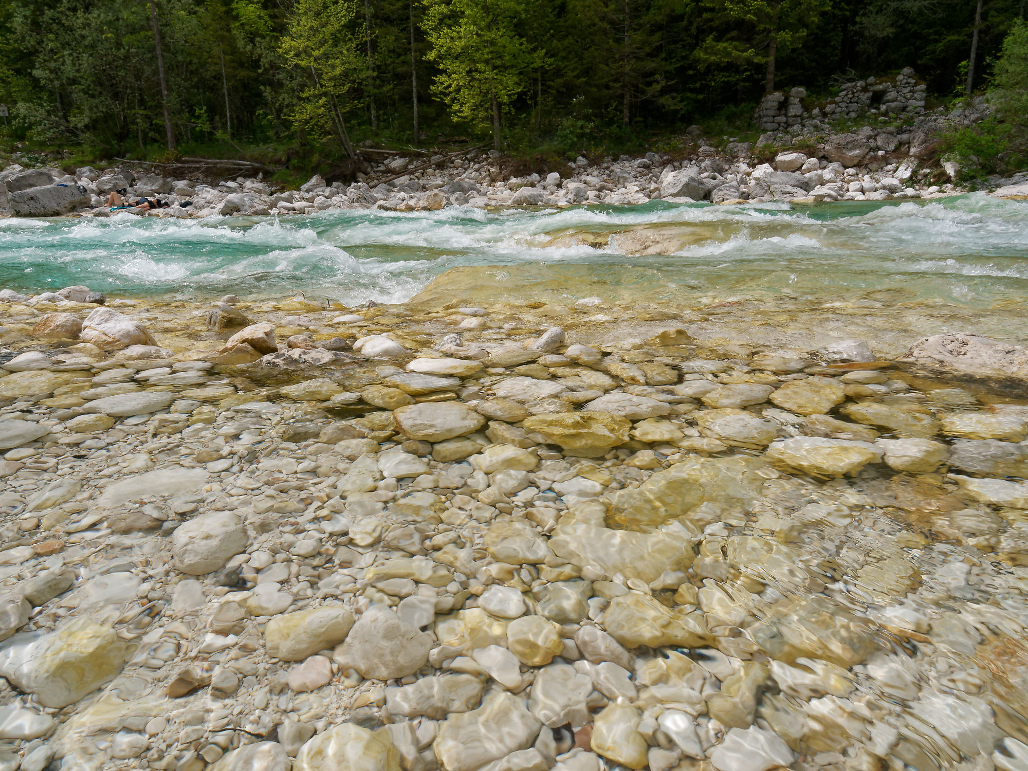 Soca Fluss, Slowenien. Klares Wasser, Steine und grüne Ufervegetation. Natur pur.