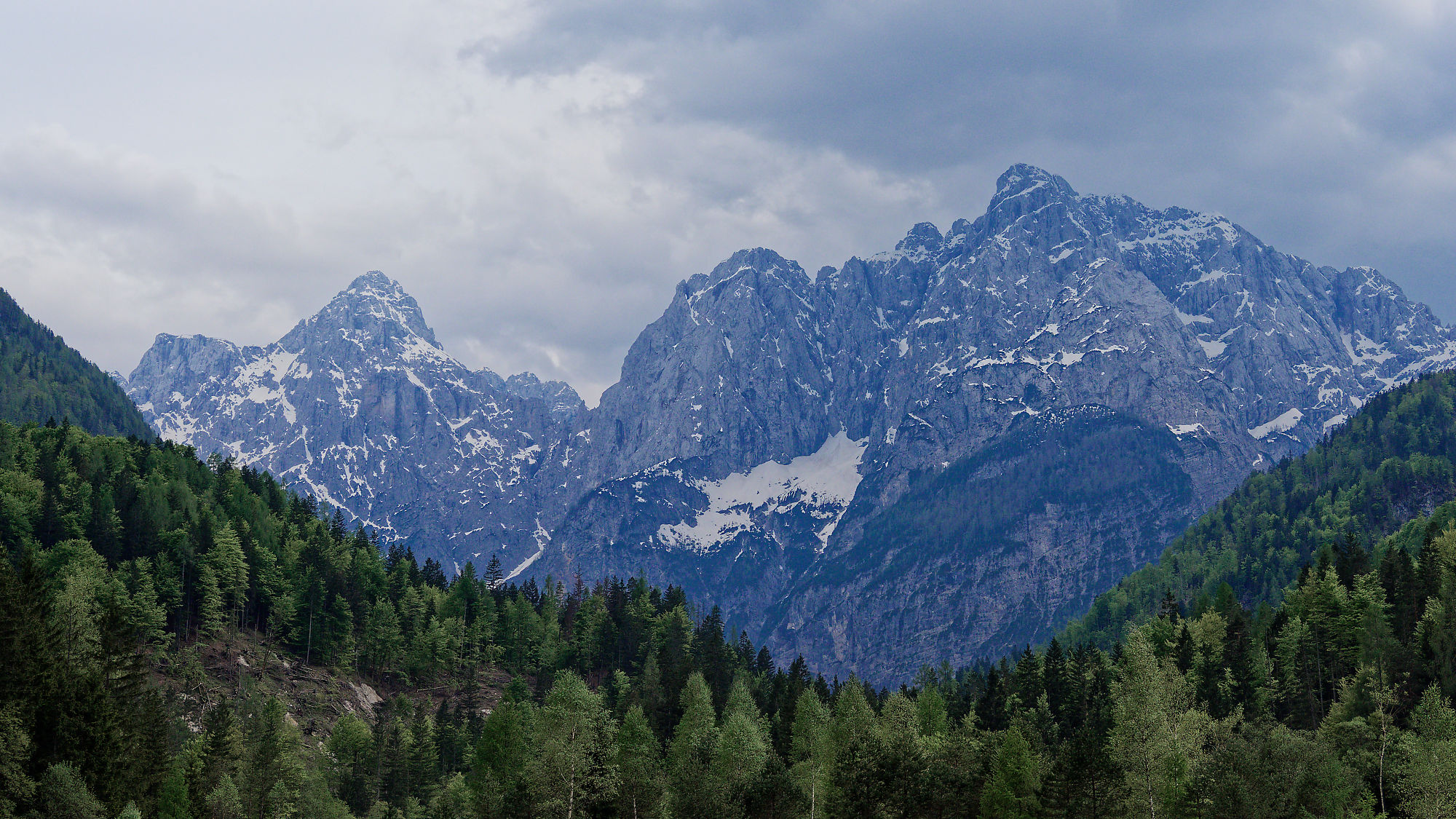 Slowenien. Berglandschaft mit Wald und schneebedeckten Gipfeln unter bewölktem Himmel. Natur pur. Alpenregion Julische Alpen.