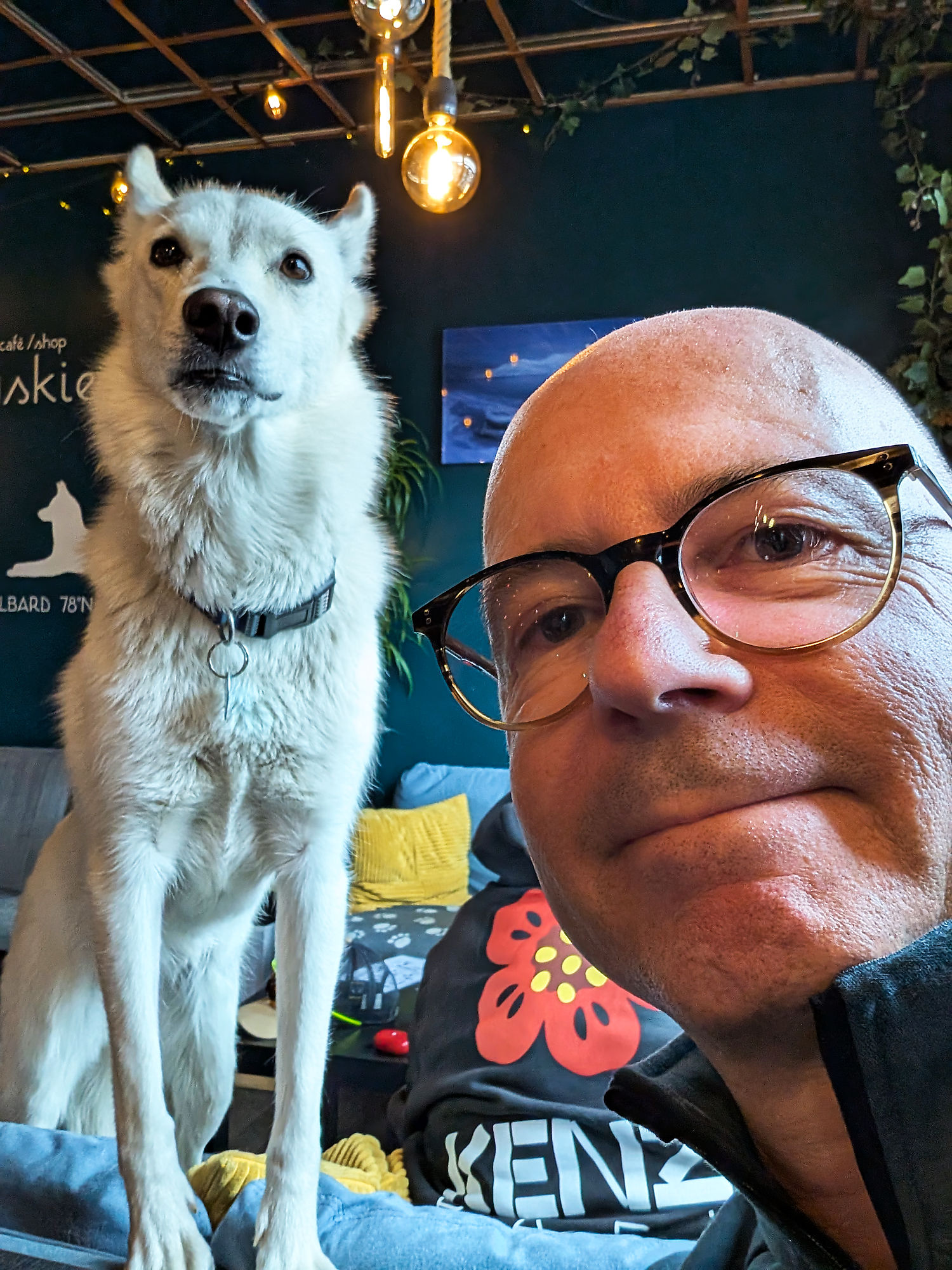 Selfie mit weißem Husky im Café. Mann mit Brille und Hund. Tierfreundlicher Ort.