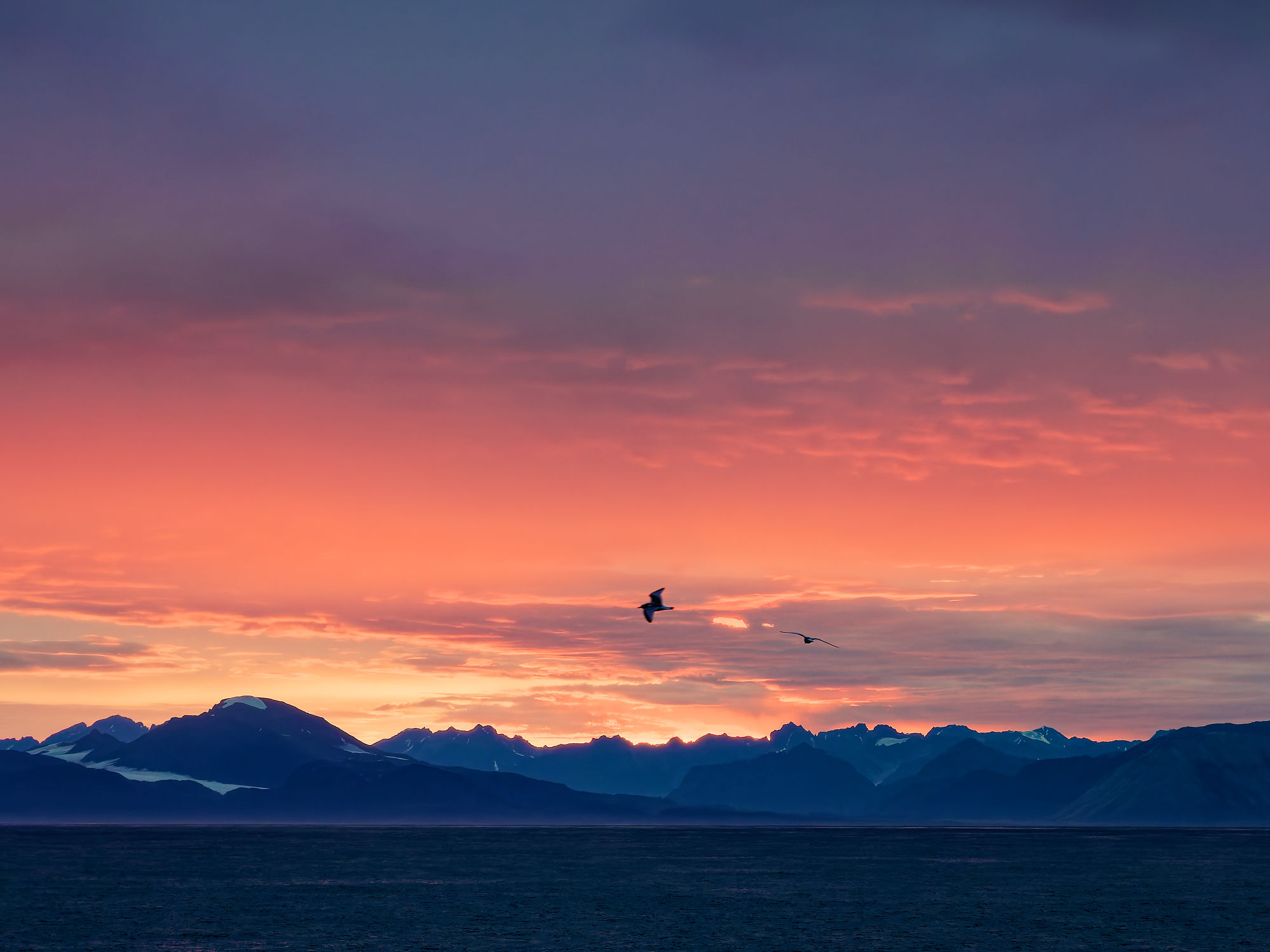 Magdalenefjord: Arktische Landschaft mit Bergen, Meer, Vögeln und Sonnenuntergang.