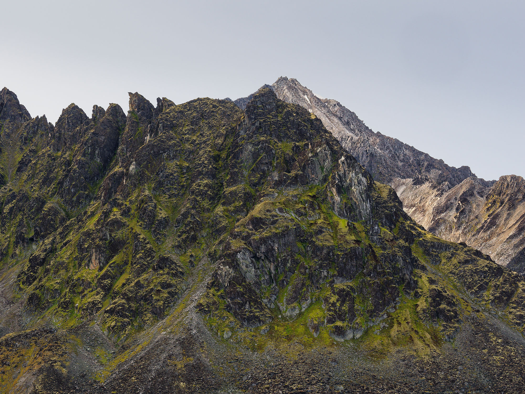 Magdalenefjorden, Spitzbergen: Schroffe Felsen und grüne Vegetation in der arktischen Landschaft. Bergpanorama.